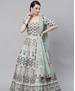 Picture of Fascinating Pista Green Lehenga Choli