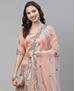 Picture of Shapely Peach Lehenga Choli