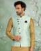 Picture of Enticing Beige Kurtas