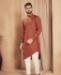 Picture of Pleasing Rust Kurtas