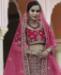 Picture of Beauteous Pink Lehenga Choli