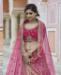 Picture of Lovely Pink Lehenga Choli