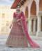 Picture of Beauteous Pink Lehenga Choli