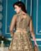 Picture of Amazing Brown Lehenga Choli