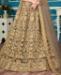 Picture of Amazing Brown Lehenga Choli