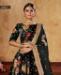 Picture of Sightly Black Lehenga Choli