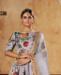 Picture of Shapely Grey Lehenga Choli