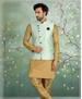 Picture of Enticing Beige Kurtas