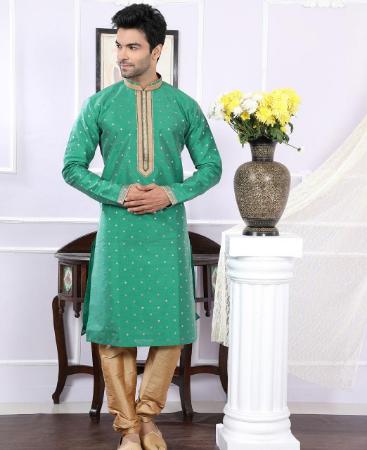 Picture of Elegant Light Green Kurtas