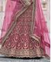 Picture of Admirable Pink Lehenga Choli