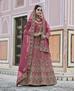 Picture of Bewitching Pink Lehenga Choli