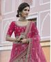 Picture of Lovely Pink Lehenga Choli