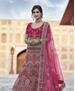 Picture of Nice Pink Lehenga Choli