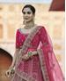 Picture of Comely Pink Lehenga Choli