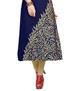 Picture of Shapely Blue Kurtis & Tunic