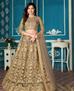 Picture of Amazing Brown Lehenga Choli