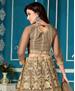 Picture of Amazing Brown Lehenga Choli