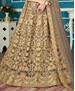 Picture of Amazing Brown Lehenga Choli