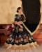 Picture of Classy Black Lehenga Choli