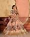 Picture of Fascinating Peach Lehenga Choli