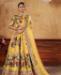 Picture of Appealing Yellow Lehenga Choli