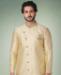 Picture of Sightly Pista Green Kurtas