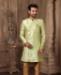 Picture of Marvelous Pista Green Kurtas