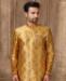 Picture of Excellent Deep Yellow Kurtas