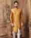 Picture of Fascinating Mustard Kurtas