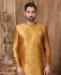 Picture of Fascinating Mustard Kurtas