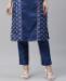 Picture of Comely Blue Kurtis & Tunic