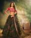 Picture of Charming Green Lehenga Choli