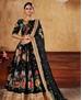 Picture of Classy Black Lehenga Choli