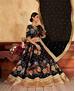 Picture of Classy Black Lehenga Choli