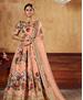 Picture of Fascinating Peach Lehenga Choli