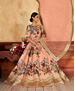 Picture of Fascinating Peach Lehenga Choli