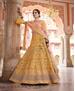 Picture of Charming Mustard Lehenga Choli