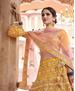 Picture of Charming Mustard Lehenga Choli