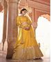 Picture of Grand Mustard Lehenga Choli