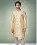 Picture of Sightly Pista Green Kurtas