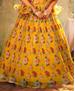 Picture of Alluring Yellow Lehenga Choli