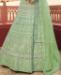 Picture of Beautiful Green Lehenga Choli