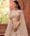 Picture of Excellent Baby Pink Lehenga Choli