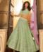 Picture of Ravishing Pista Lehenga Choli