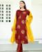 Picture of Elegant Brown Readymade Salwar Kameez