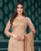 Picture of Comely Fawn Straight Cut Salwar Kameez