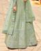 Picture of Alluring Pista Lehenga Choli