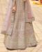 Picture of Marvelous Fawn Lehenga Choli