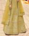 Picture of Magnificent Golden Lehenga Choli