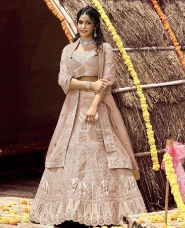 Picture of Statuesque Peach Lehenga Choli